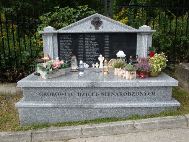 Joanna Nowak 2020 Kraków-Salwator - Grobonet - Wyszukiwarka osób pochowanych