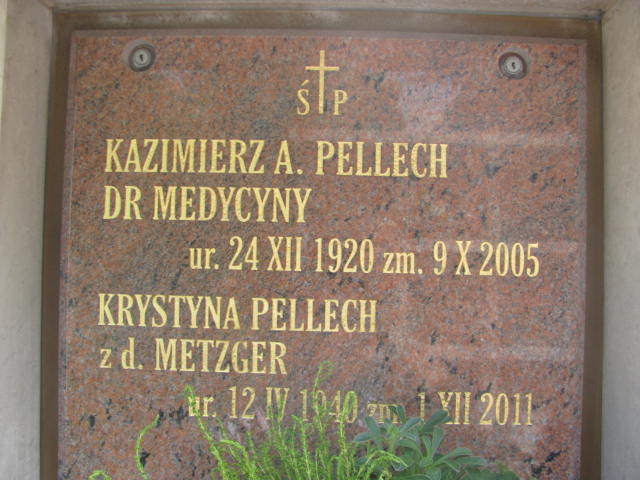 Kazimierz Pellech 1920 Kraków-Salwator - Grobonet - Wyszukiwarka osób pochowanych