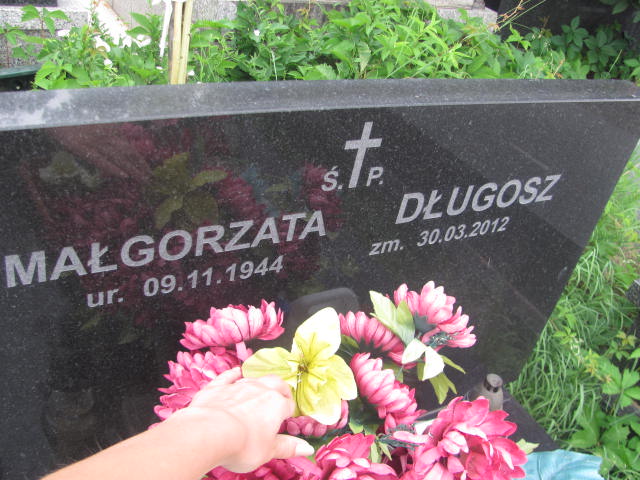 Władysław Długosz 1934 Kraków-Salwator - Grobonet - Wyszukiwarka osób pochowanych