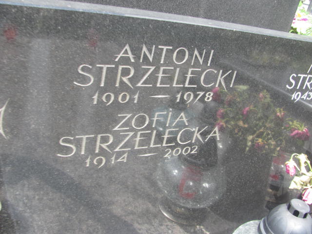 Antoni Strzelecki 1901 Kraków-Salwator - Grobonet - Wyszukiwarka osób pochowanych