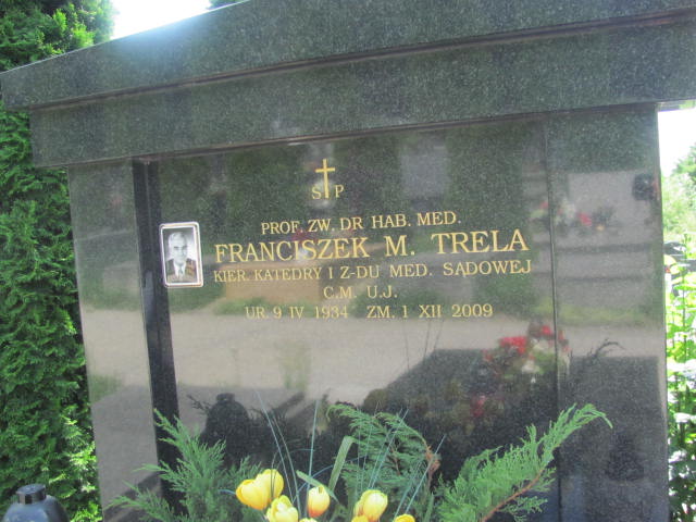 Dominika Trela 1982 Kraków-Salwator - Grobonet - Wyszukiwarka osób pochowanych