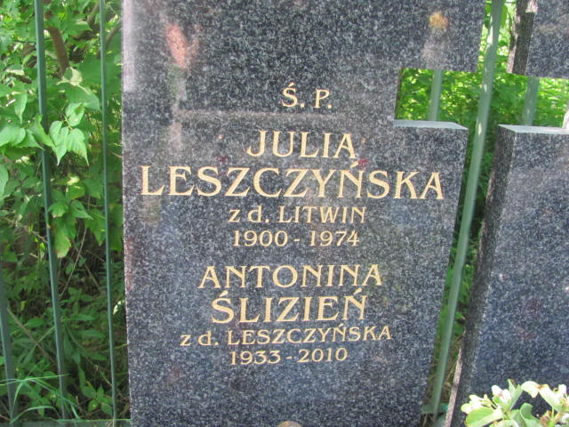 Julia Leszczyńska 1900 Kraków-Salwator - Grobonet - Wyszukiwarka osób pochowanych