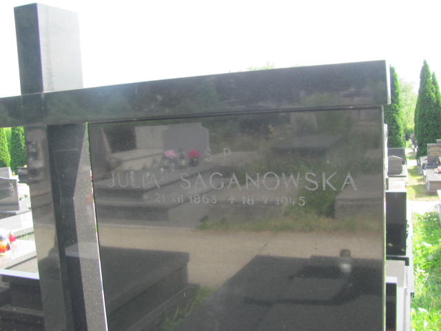 Julia Saganowska 1863 Kraków-Salwator - Grobonet - Wyszukiwarka osób pochowanych
