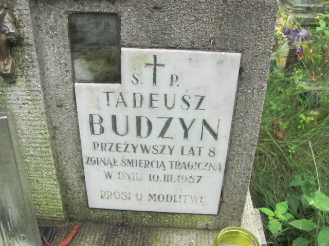 Tadeusz Budzyn Kraków-Salwator - Grobonet - Wyszukiwarka osób pochowanych