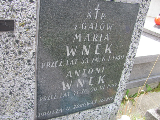 Antoni Wnęk 1891 Kraków-Salwator - Grobonet - Wyszukiwarka osób pochowanych