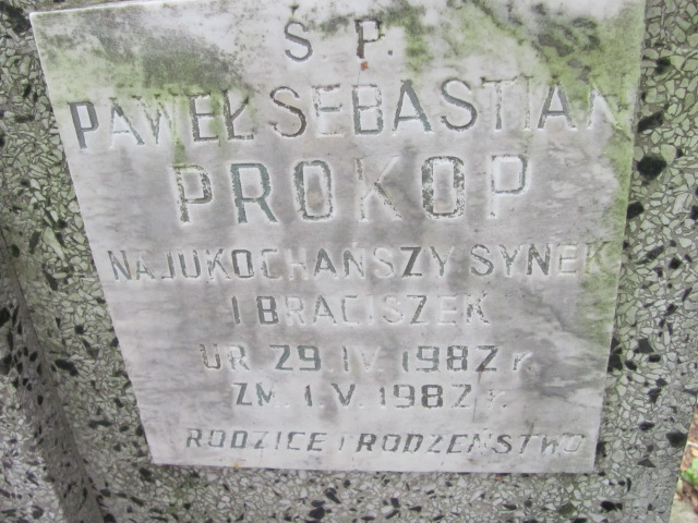 Paweł Sebastian Prokop 1982 Kraków-Salwator - Grobonet - Wyszukiwarka osób pochowanych