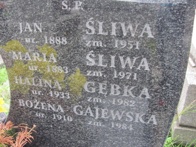 Bożena Gajewska 1910 Kraków-Salwator - Grobonet - Wyszukiwarka osób pochowanych