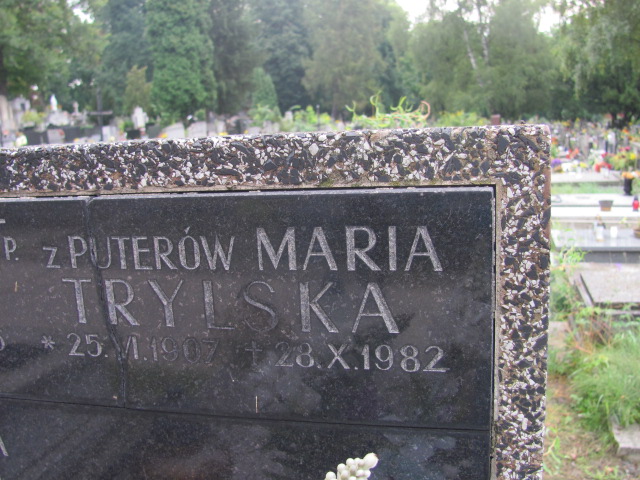 Karol Trylski 1905 Kraków-Salwator - Grobonet - Wyszukiwarka osób pochowanych