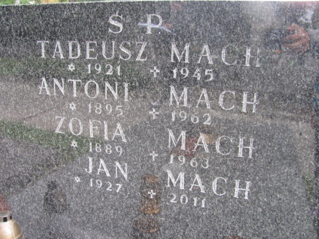 Tadeusz Mach 1920 Kraków-Salwator - Grobonet - Wyszukiwarka osób pochowanych