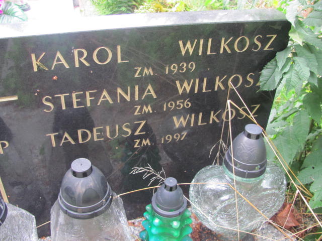 Karol Wilkosz Kraków-Salwator - Grobonet - Wyszukiwarka osób pochowanych