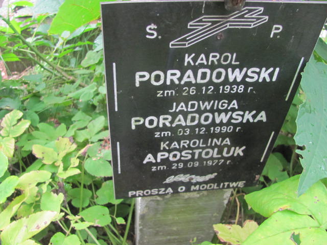 Karol Paradowski Kraków-Salwator - Grobonet - Wyszukiwarka osób pochowanych