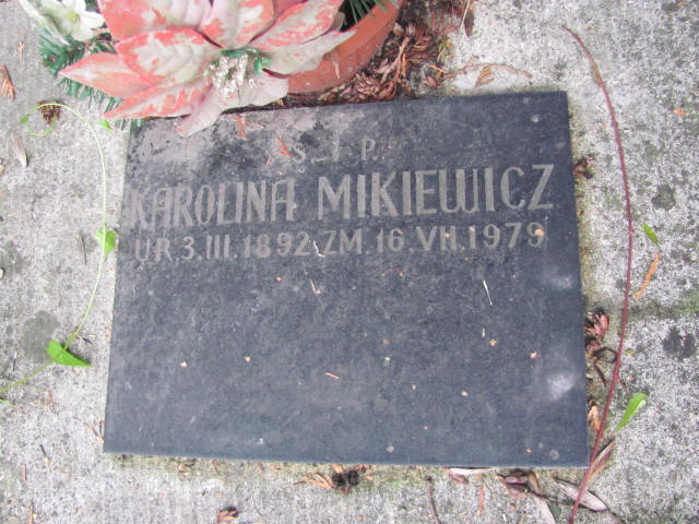 Karolina Mikiewicz 1865 Kraków-Salwator - Grobonet - Wyszukiwarka osób pochowanych