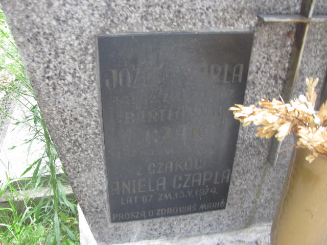  Habowski 1953 Kraków-Salwator - Grobonet - Wyszukiwarka osób pochowanych