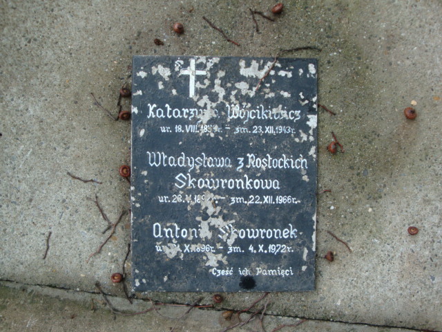 Katarzyna Wójcikiewicz 1859 Kraków-Salwator - Grobonet - Wyszukiwarka osób pochowanych