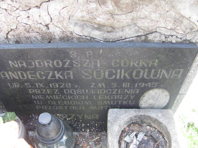 Wanda Socik 1928 Kraków-Salwator - Grobonet - Wyszukiwarka osób pochowanych