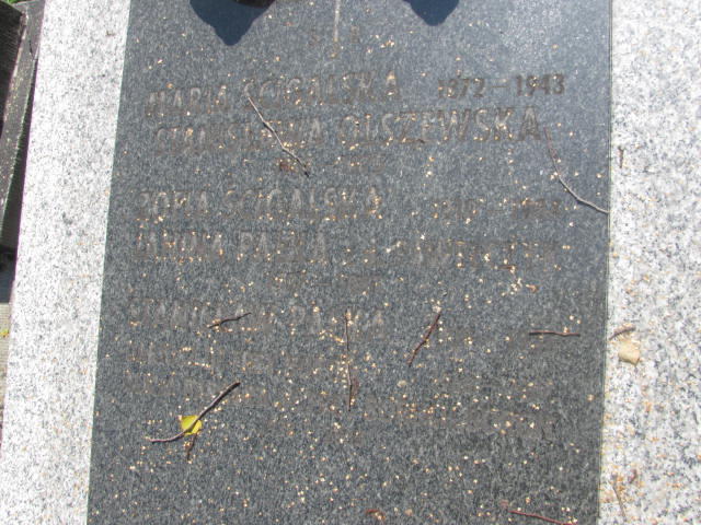 Maria Ścigalska 1871 Kraków-Salwator - Grobonet - Wyszukiwarka osób pochowanych