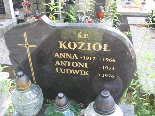 Anna Kozioł 1916 Kraków-Salwator - Grobonet - Wyszukiwarka osób pochowanych