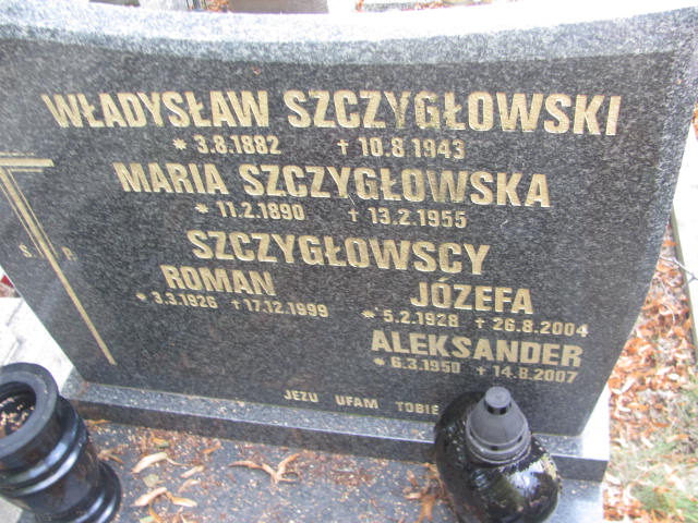 Władysław Szczygłowski 1882 Kraków-Salwator - Grobonet - Wyszukiwarka osób pochowanych