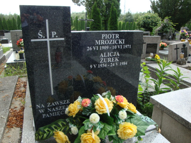 Alicja Żurek 1934 Kraków-Salwator - Grobonet - Wyszukiwarka osób pochowanych