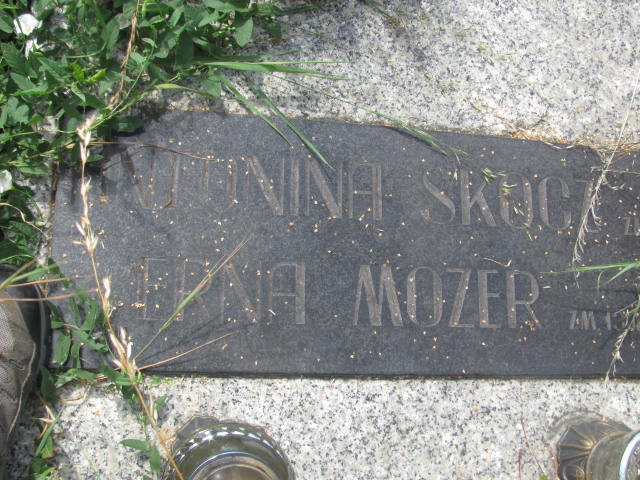 Antonina Skocz Kraków-Salwator - Grobonet - Wyszukiwarka osób pochowanych