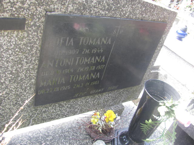 Zofia Tomana 1908 Kraków-Salwator - Grobonet - Wyszukiwarka osób pochowanych