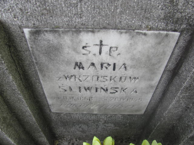 Maria Śliwińska 1868 Kraków-Salwator - Grobonet - Wyszukiwarka osób pochowanych