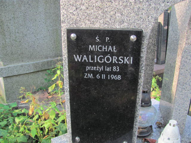 Michał Waligórski Kraków-Salwator - Grobonet - Wyszukiwarka osób pochowanych