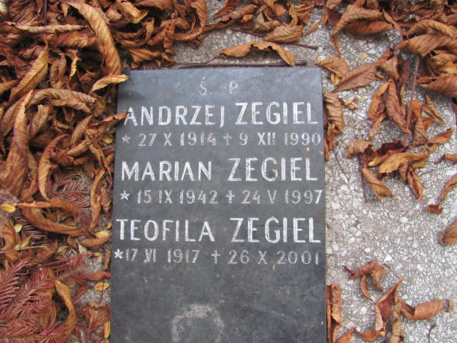 Marian Zegiel 1942 Kraków-Salwator - Grobonet - Wyszukiwarka osób pochowanych