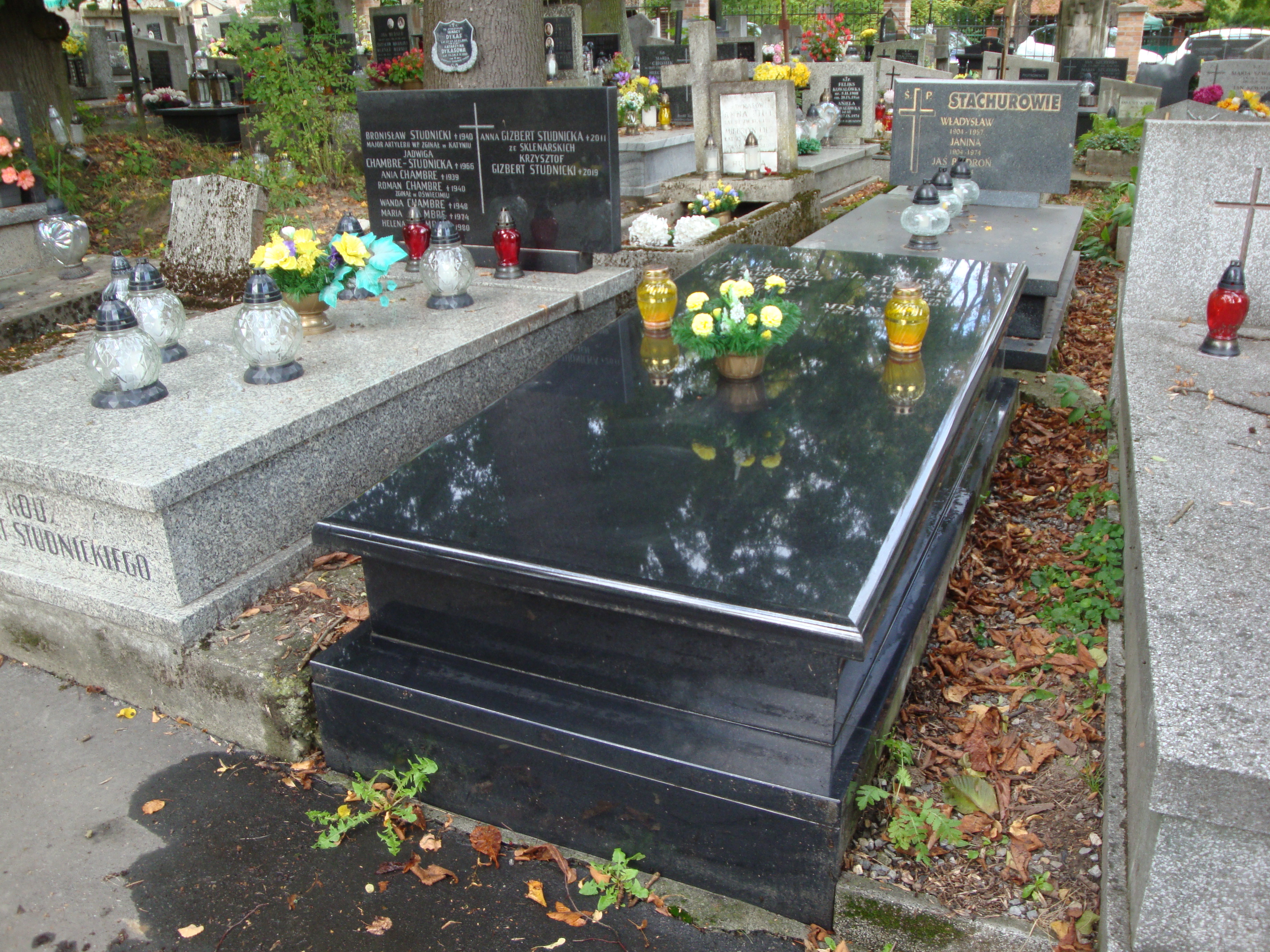 Anna Misan 1918 Kraków-Salwator - Grobonet - Wyszukiwarka osób pochowanych