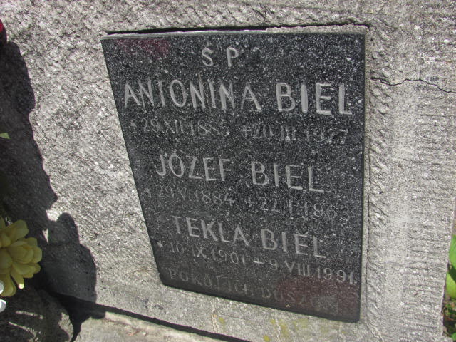 Antonina Biel 1885 Kraków-Salwator - Grobonet - Wyszukiwarka osób pochowanych