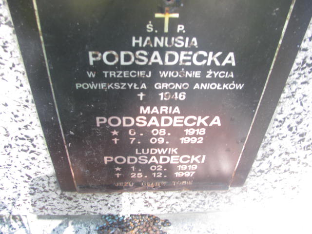 Ludwik Podsadecki 1919 Kraków-Salwator - Grobonet - Wyszukiwarka osób pochowanych