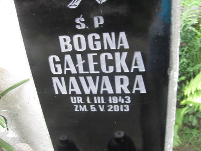 Czesław Chmiel 1877 Kraków-Salwator - Grobonet - Wyszukiwarka osób pochowanych