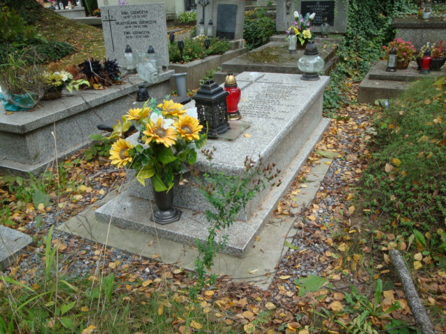 Stanisław Kornafel Kraków-Salwator - Grobonet - Wyszukiwarka osób pochowanych