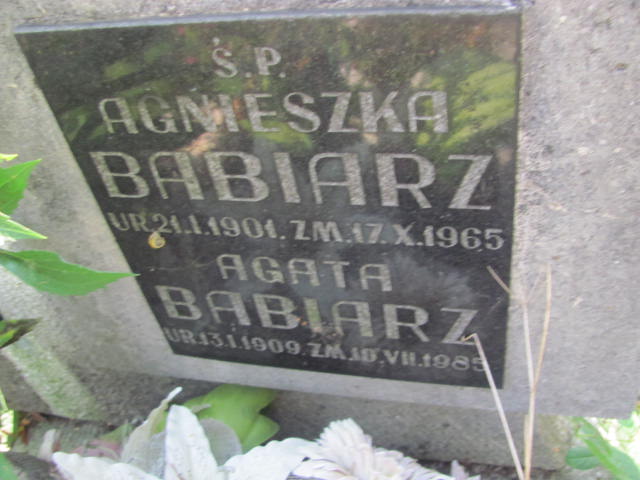 Agnieszka Babiarz 1901 Kraków-Salwator - Grobonet - Wyszukiwarka osób pochowanych