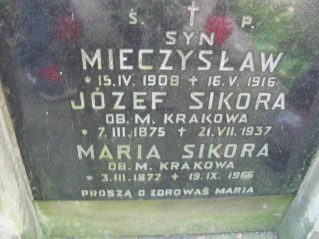 Barbara Ślusarczyk Kraków-Salwator - Grobonet - Wyszukiwarka osób pochowanych