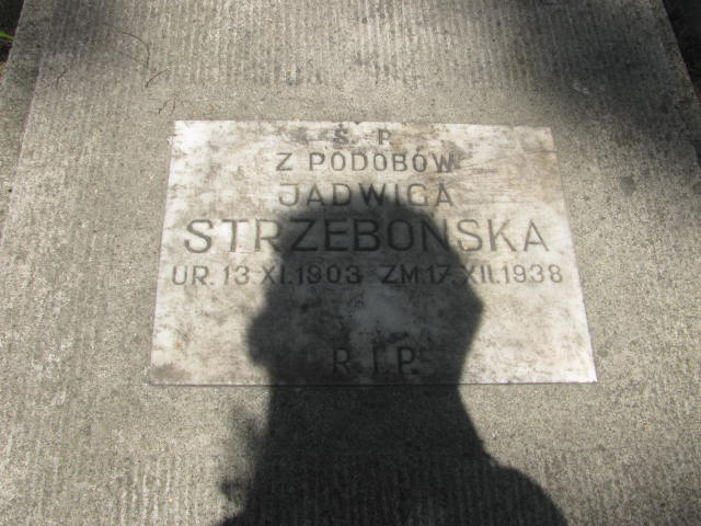 Jadwiga Strzebońska 1903 Kraków-Salwator - Grobonet - Wyszukiwarka osób pochowanych
