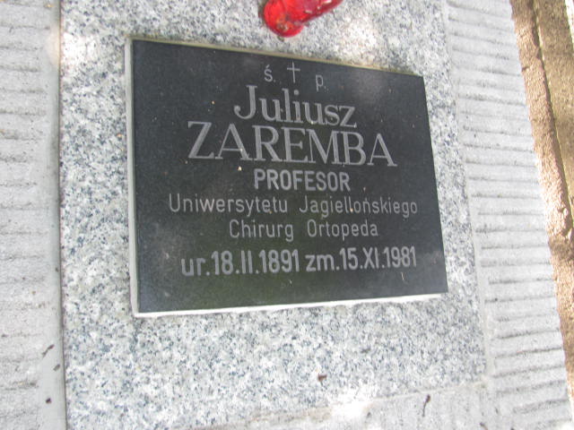 Antoni Zaremba 1858 Kraków-Salwator - Grobonet - Wyszukiwarka osób pochowanych