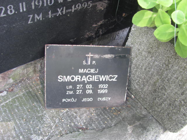 Julian Mokry 1873 Kraków-Salwator - Grobonet - Wyszukiwarka osób pochowanych