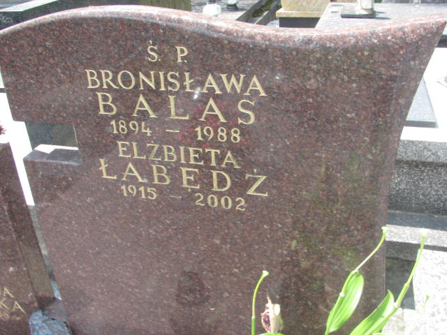  Krasucka 1909 Kraków-Salwator - Grobonet - Wyszukiwarka osób pochowanych