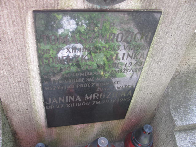 Tomasz Mrozicki 1906 Kraków-Salwator - Grobonet - Wyszukiwarka osób pochowanych