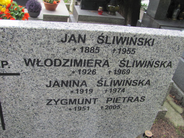 Jan Śliwiński 1884 Kraków-Salwator - Grobonet - Wyszukiwarka osób pochowanych