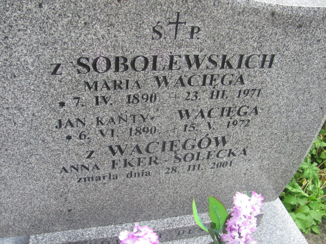 Maria Wacięga 1890 Kraków-Salwator - Grobonet - Wyszukiwarka osób pochowanych