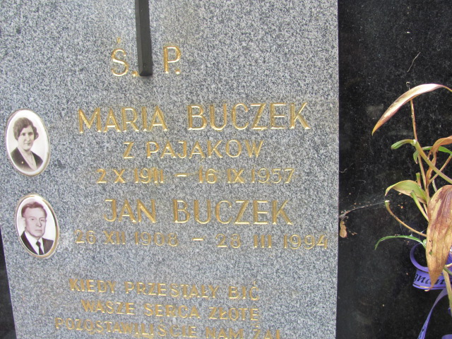 Andrzej Buczek 1946 Kraków-Salwator - Grobonet - Wyszukiwarka osób pochowanych