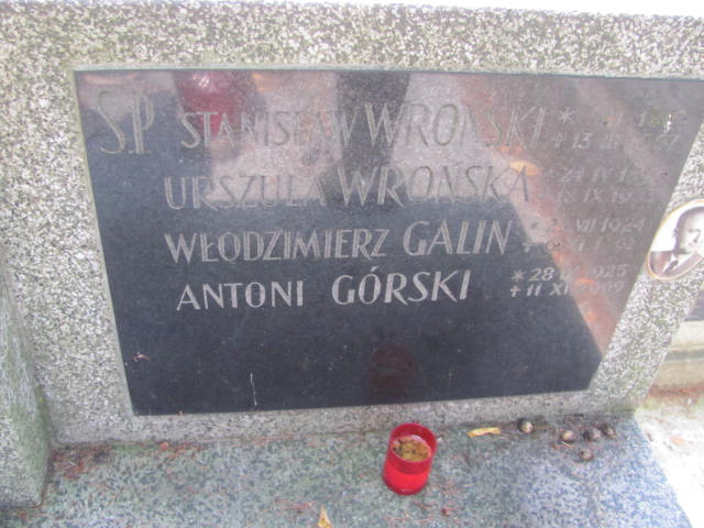 Stanisław Wroński Kraków-Salwator - Grobonet - Wyszukiwarka osób pochowanych