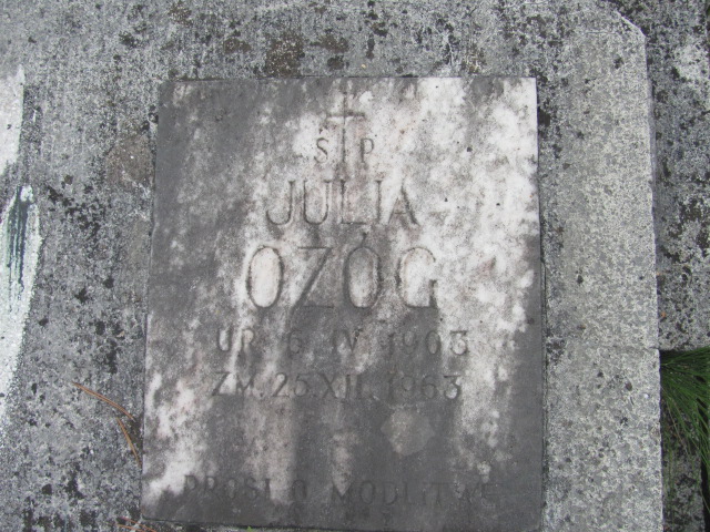 Julia Ożóg 1904 Kraków-Salwator - Grobonet - Wyszukiwarka osób pochowanych