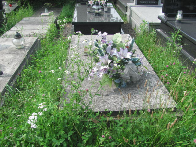  NN Kraków-Salwator - Grobonet - Wyszukiwarka osób pochowanych