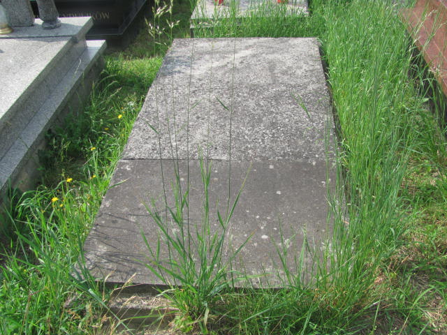 Witold Janiczek 1922 Kraków-Salwator - Grobonet - Wyszukiwarka osób pochowanych