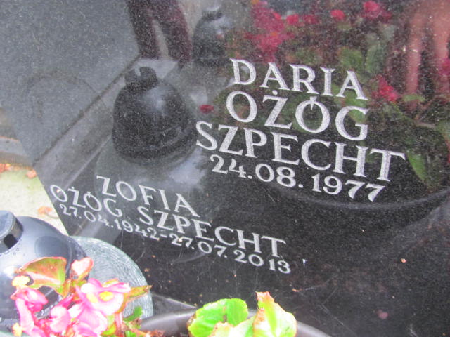 Daria Ożóg Szpecht Kraków-Salwator - Grobonet - Wyszukiwarka osób pochowanych