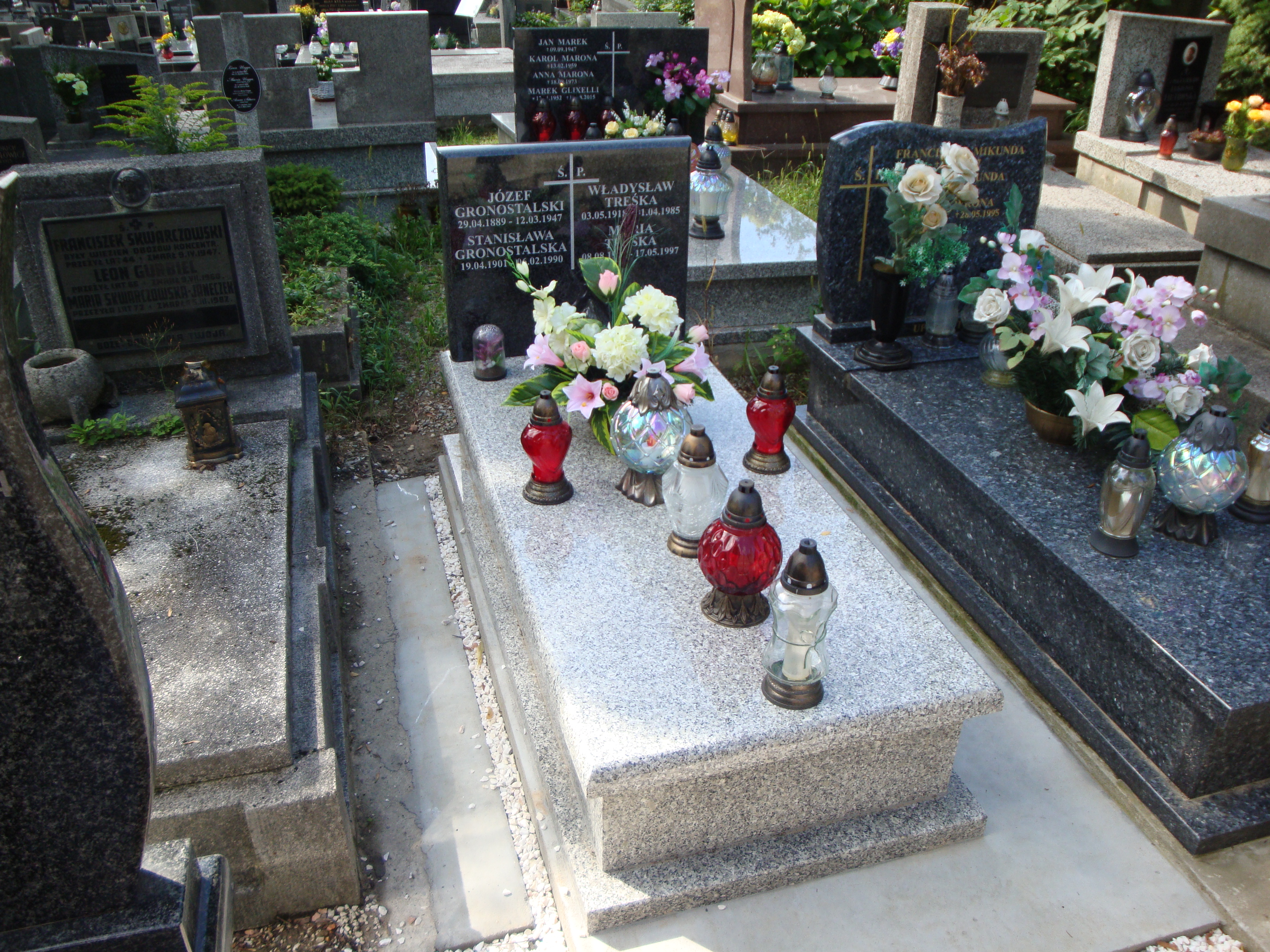 Grób Władysław Treśka